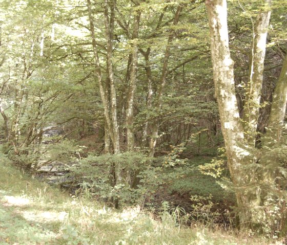 Rund um Wershofen_2, &copy; Landgasthaus Pfahl