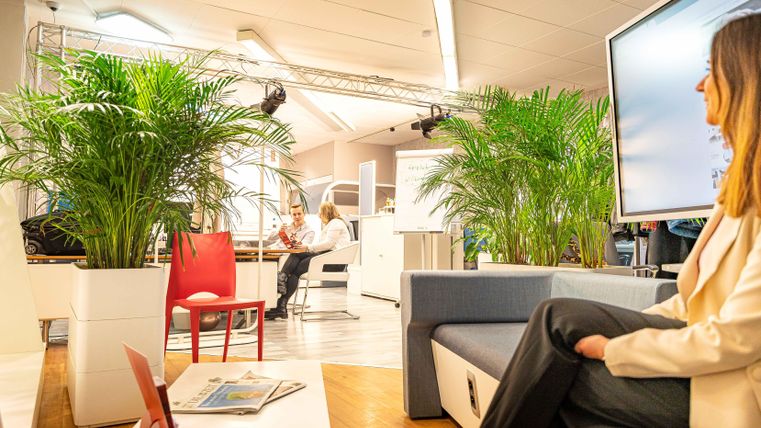 Ein moderner Raum mit Pflanzen und einem Sitzbereich. Im Hintergrund sind Personen, die arbeiten und ein Bildschirm ist sichtbar.
