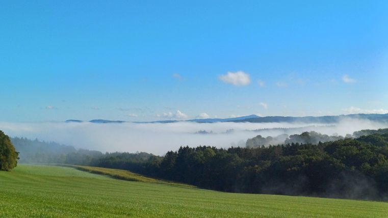 Lors de longues promenades autour de Senscheid, on peut profiter de la nature.