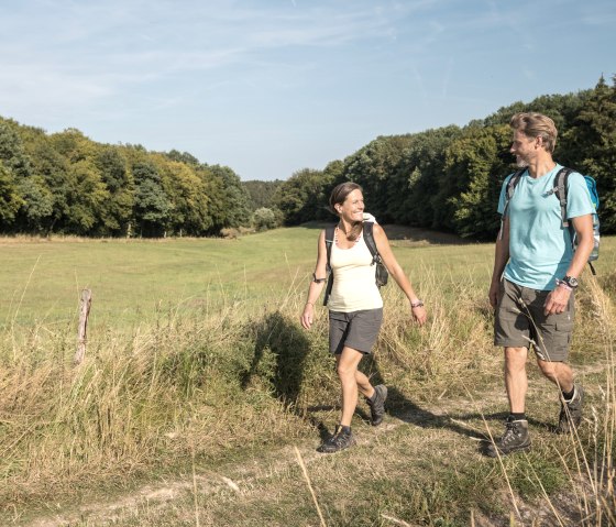 Hiking on the AhrSteig on the Borsberg, © Kooperation AhrSteig,Dominik Ketz