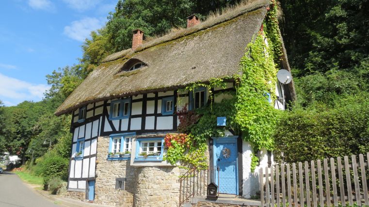 Ein charmantes Fachwerkhaus mit einem Reetdach und grüner Bepflanzung. Es steht an einer ruhigen Straße und ist von Bäumen umgeben.