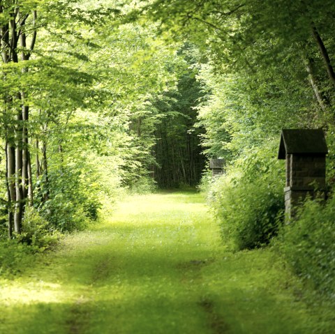AhrSteig trail section Schuld, © Ahrtaltourismus e.V.