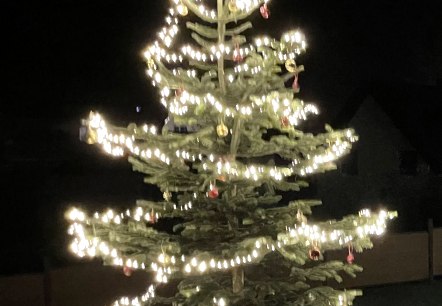 Weihnachtsbaum, © Vanessa Kläsgen