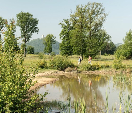Wandern am Rodder Maar, Burg Olbr&uuml;ck im Hintergrund, &copy; Eifel Tourismus GmbH, D. Ketz