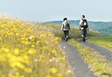 Zwei Personen wandern auf einem Pfad in der Eifel, umgeben von gelben Blumen und grünen Hügeln., © Ahrtaltourismus e.V.