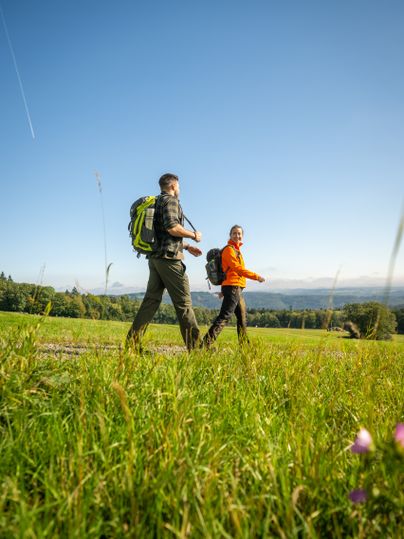 Zwei wandernde Personen gehen über eine sonnige, grüne Wiese mit Blick auf eine weitläufige Hügellandschaft. Im Vordergrund stehen einzelne Bäume, im Hintergrund Wälder und sanfte Hügel unter einem klaren blauen Himmel