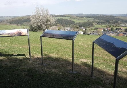 Panoramatafeln Kottenborn, © Tourist-Information Hocheifel-Nürburgring