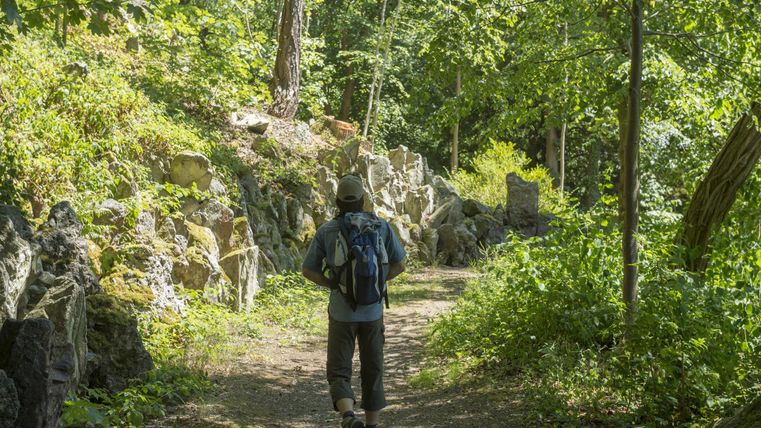 Ein Wanderer geht auf einem schmalen Pfad durch einen grünen Wald. Die Umgebung ist reich an Bäumen und Felsen.