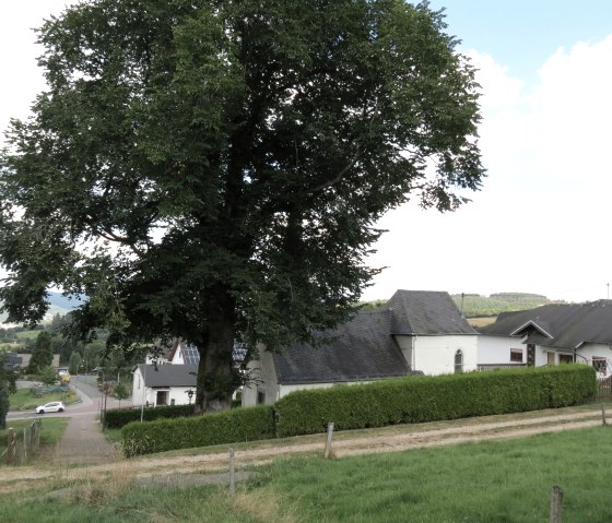 Blick auf Kottenborn, &copy; Tourist-Information Hocheifel-N&uuml;rburgring, VG Adenau