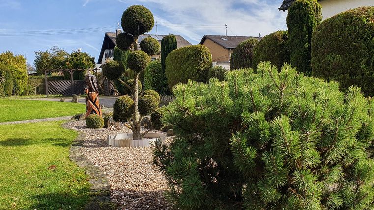 Een verzorgde tuin met gevormde bomen en groene struiken. Op de achtergrond zijn enkele huizen zichtbaar.
