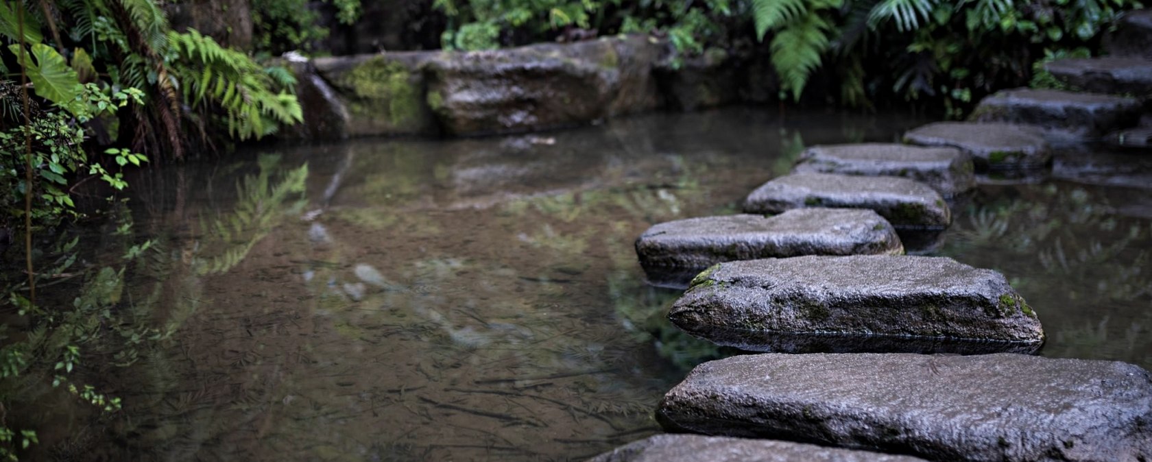 Bachlauf, © Bachlauf©ArchivfotoMicrosoft