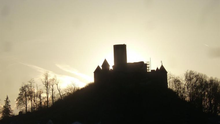 Eine Burg steht auf einem Hügel, silhouettiert gegen einen hellen Himmel. Im Vordergrund sind Bäume und einige Häuser sichtbar.