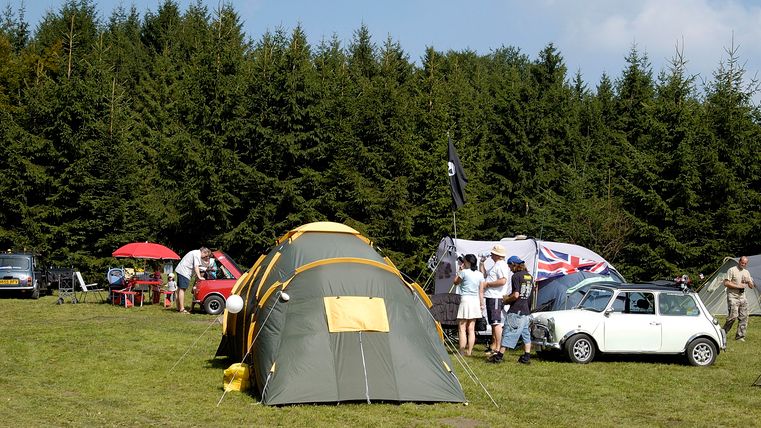 A campsite with tents and cars on a green meadow. In the background, tall trees stand and people are actively camping.