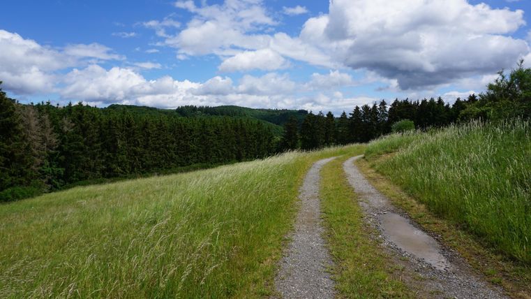 A picturesque path leads through a green meadow, surrounded by trees and a blue sky. Fluffy clouds drift leisurely by, giving the landscape a peaceful atmosphere.