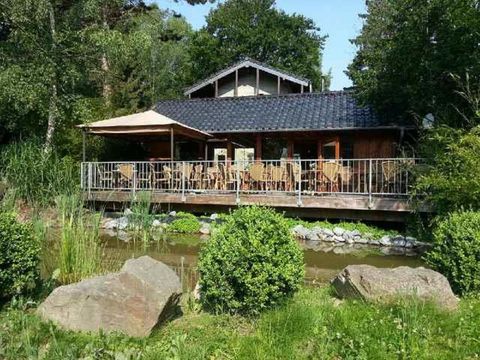 Ein gemütliches Restaurant mit einer Terrasse am Wasser. Umgeben von Bäumen und grünen Sträuchern.
