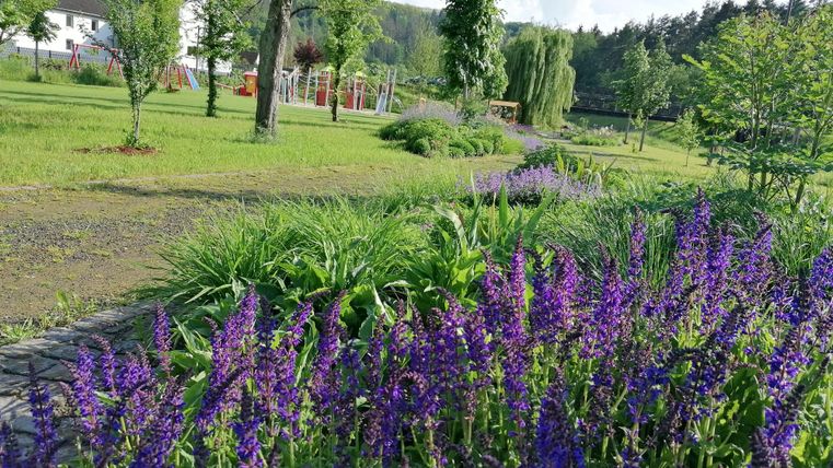 Ein schöner Park mit lila Blumen im Vordergrund. Im Hintergrund sind Bäume und ein Spielplatz sichtbar.