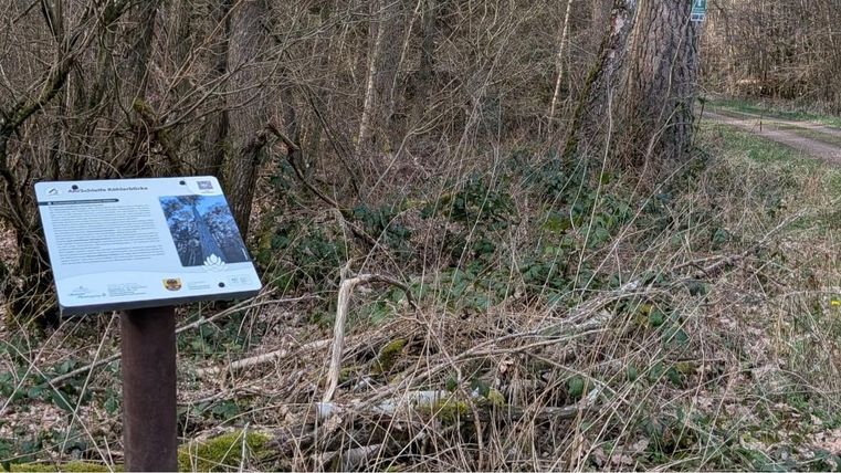 An information sign stands in a forest area. The path runs to the right of the sign, surrounded by trees and bushes.