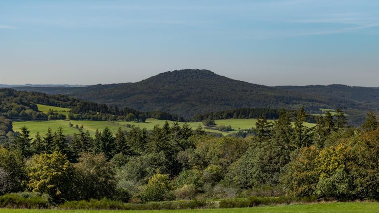Eine grüne Landschaft mit sanften Hügeln und Bäumen. Im Hintergrund ist ein bewaldeter Hügel unter einem klaren blauen Himmel zu sehen.