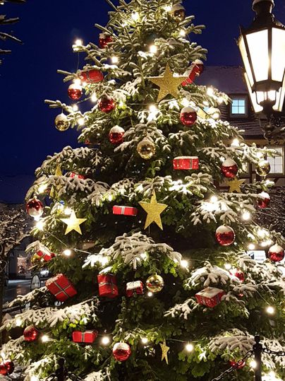 Ein festlich geschmückter Weihnachtsbaum mit roten Kugeln und goldenen Sternen. Schnee bedeckt die Äste und die Lichter erleuchten die Nacht.