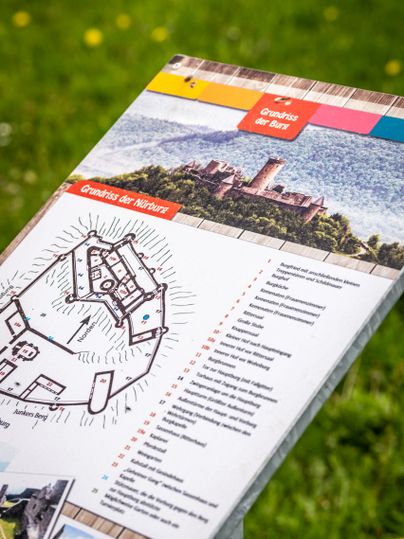 Informationstafel mit Grundriss der Burgruine Nürburg vor grünem Hintergrund.