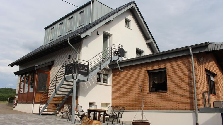Une maison moderne avec un escalier et un beau hall d'entrée. Dehors, il y a des tables et des chaises, et un chien est allongé détendu sur le sol.