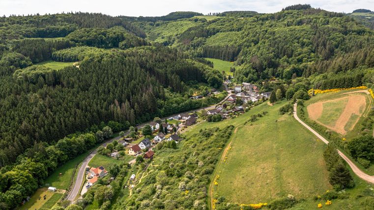 Een schilderachtig landschap met zachte heuvels, bossen en een klein dorp. Weelderig groene weilanden en een kronkelig pad strekken zich door de natuur uit.