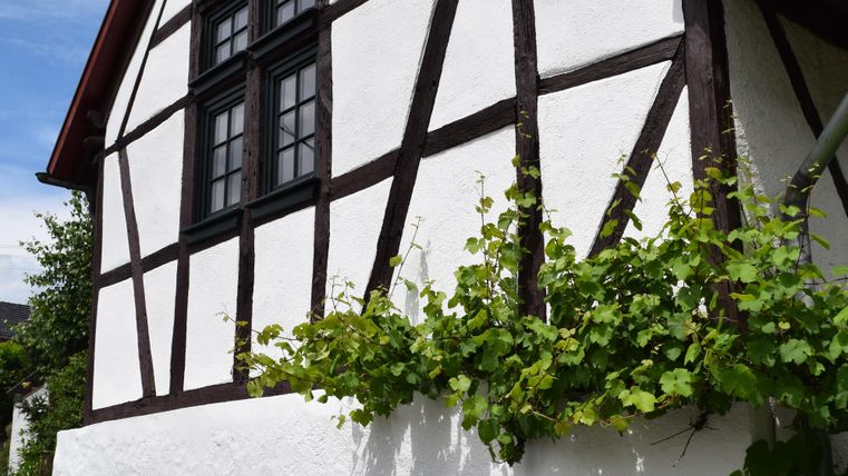 A charming half-timbered house with white walls and a dark wooden frame. Green plants and flowers grow in front of the building.