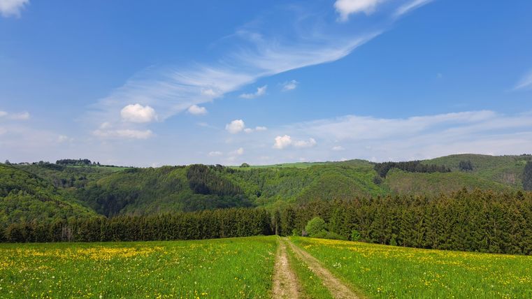 A green meadow with yellow flowers and a gravel path runs through the landscape. In the background, wooded hills and a blue sky with some clouds are visible.