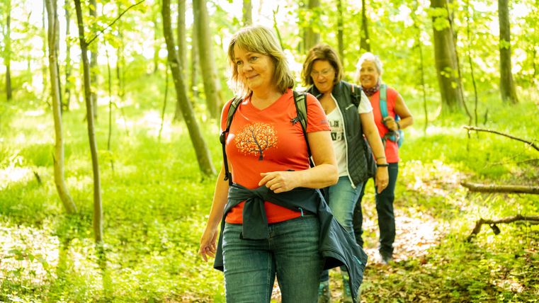 Eine Gruppe von Frauen wandert auf einem schmalen Weg durch einen grünen Wald. Die Sonne scheint durch die Bäume und schafft eine warme, einladende Atmosphäre.