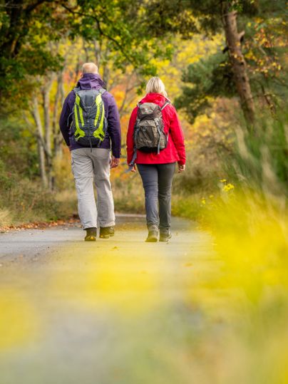 Zwei Wanderer auf einem Waldweg im Herbst.