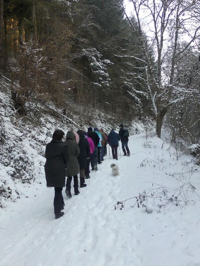 Een groep mensen wandelt op een besneeuwd pad in het bos. De bomen zijn bedekt met sneeuw en de sfeer lijkt rustig en winters.