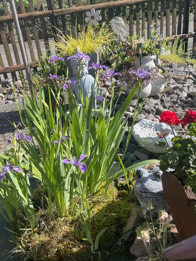 Een bloeiende tuin met paarse bloemen en groen gras. Op de achtergrond zijn verschillende decoratieobjecten en kleurrijke bloemen te zien.