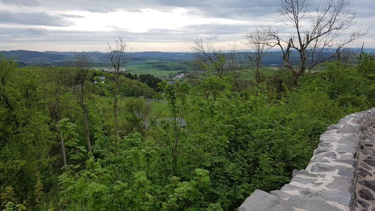 Eine Aussicht auf eine grüne Landschaft mit Bäumen und Sträuchern. Im Hintergrund sind sanfte Hügel und ein bewölkter Himmel zu sehen.