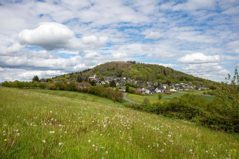 Eine grüne Wiese mit vielen Löwenzahnblüten und sanften Hügeln im Hintergrund. Der Himmel ist bewölkt mit vereinzelt blauen Stellen.
