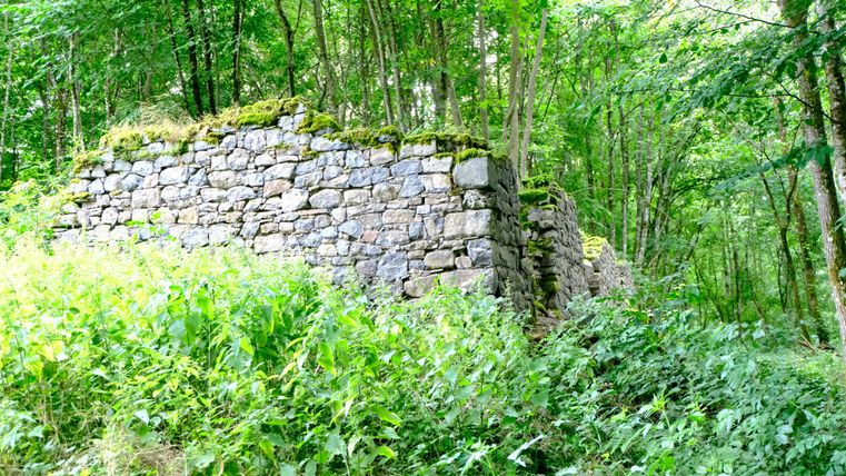Eine alte Steinmauer, umgeben von dichtem, grünem Unterholz und Bäumen. Die Natur hat die Ruine teilweise zurückerobert.