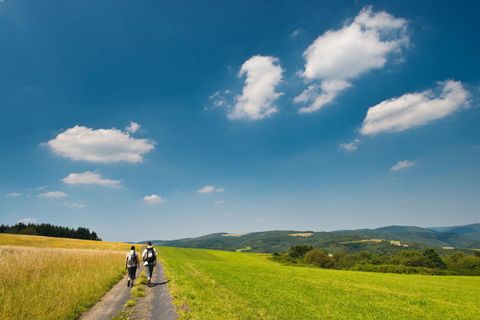 Zwei Wanderer gehen einen Weg durch eine grüne Landschaft. Der Himmel ist klar und blau mit einigen weißen Wolken.