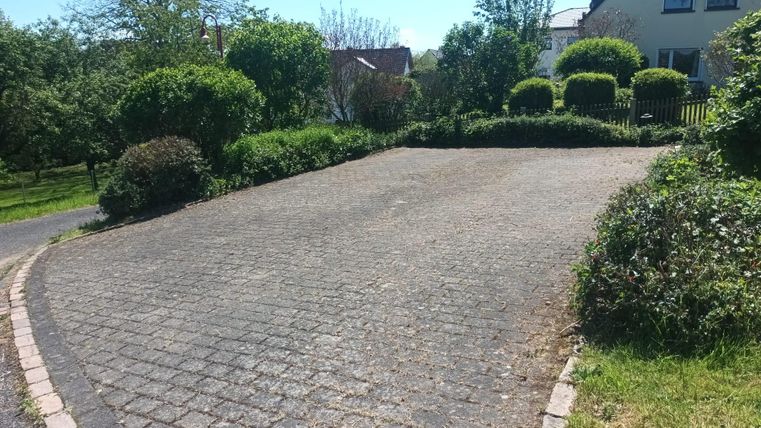A paved driveway with trees and shrubs on both sides. In the background, there is a house.