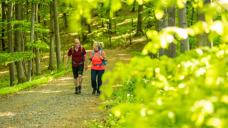 Zwei Wanderer auf einem Waldweg in der Hocheifel.