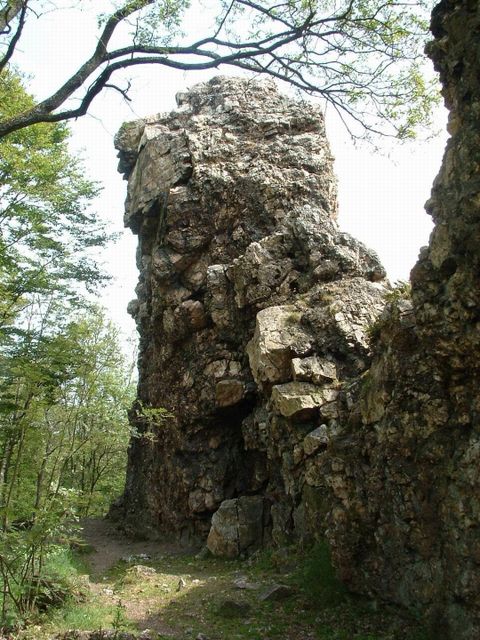 A large, rocky tower in a small forest. The sky is clear and the surroundings are green.