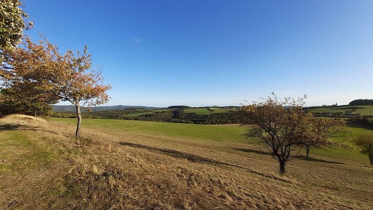 Eine weite Landschaft mit sanften Hügeln und Bäumen. Der Himmel ist klar und blau.