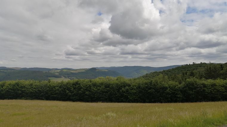 Een uitgestrekt weidelandschap met glooiende heuvels op de achtergrond. De lucht is bewolkt en de natuur is stil en vredig.