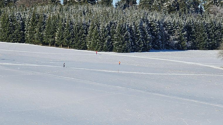 Eine verschneite Landschaft mit schneebedeckten Bäumen im Hintergrund. Einige Personen sind auf der offenen Fläche zu sehen.