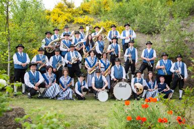 Eine Blasmusikgruppe in traditioneller Tracht steht auf einer Wiese. Im Vordergrund blühen orangefarbene Blumen.