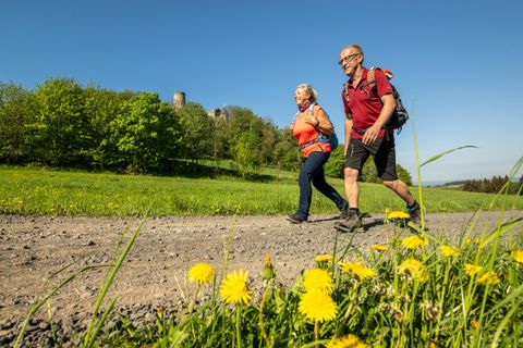 Zwei Wanderer gehen auf einem Weg durch eine grüne Landschaft. Im Vordergrund blühen gelbe Löwenzähne.