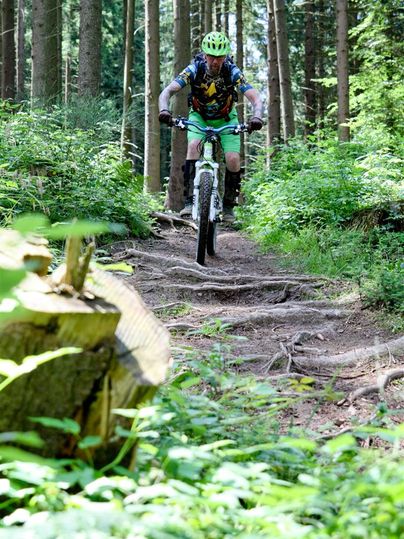Ein Mountainbiker fährt auf einem Waldweg in der Eifel, umgeben von Bäumen und Pflanzen.