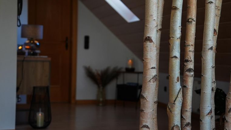 Een heldere kamer met houten vloeren en een decoratieve hoek. Op de voorgrond staan berkstammen die een gezellige sfeer creëren.