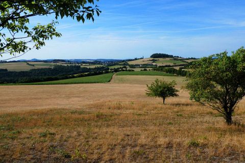 Eine weite, offene Landschaft mit getrocknetem Gras und vereinzelten Bäumen. Der Himmel ist klar und blau, und die Hügel im Hintergrund sind sichtbar.