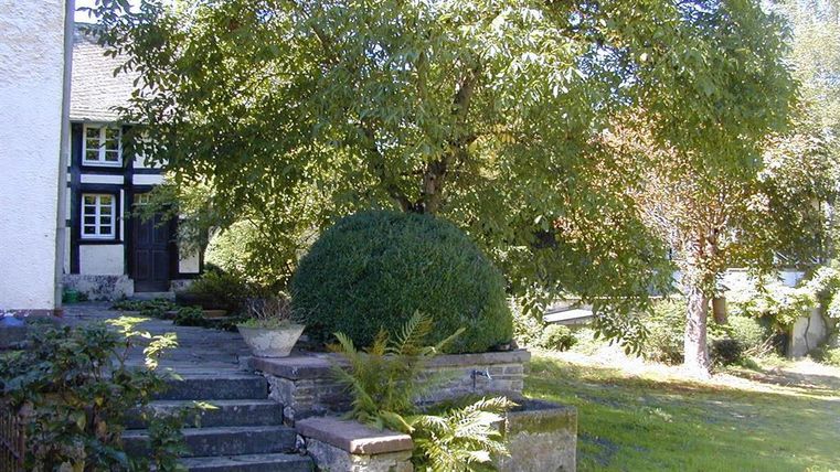 A beautiful garden with a large, round hedge and an old building in the background. The steps lead into a green, tranquil environment.