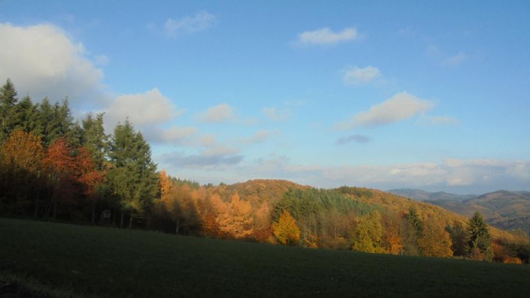 Eine malerische Landschaft im Herbst mit bunten Bäumen und einem klaren blauen Himmel. Die sanften Hügel im Hintergrund runden das Bild ab.
