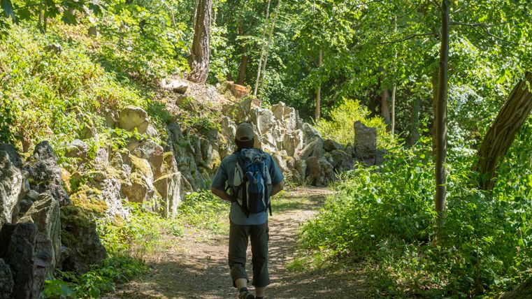 Person wandert auf einem Waldweg mit Rucksack.